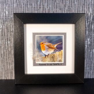 Robin with Feather & Sentimental message “Forever in our hearts. x” black, white or grey framed picture by Pictures2Mixtures