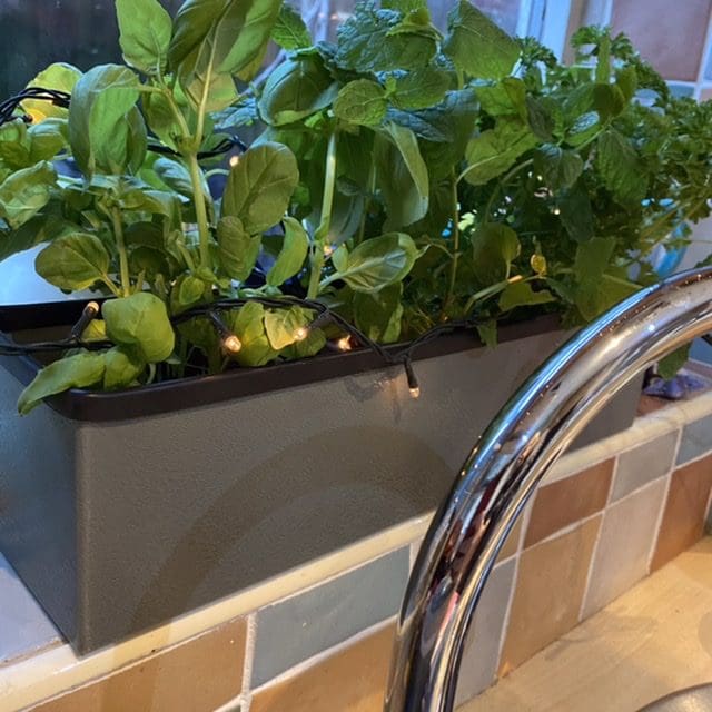 Grey Metal Herb Planter made from recycled, repurposed metal - Image 2