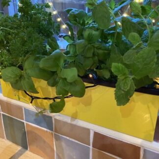 Yellow Metal Herb Planter | Kitchen Window Planter