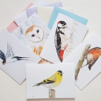 Birds Notelets / Cards Pack