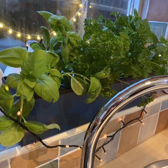 Metal Window cill planter for urban garden wall planter fence balcony planter windowsill plant pot garden trough contemporary modern bespoke custom planter handmade uk window boxes living windows city gardener