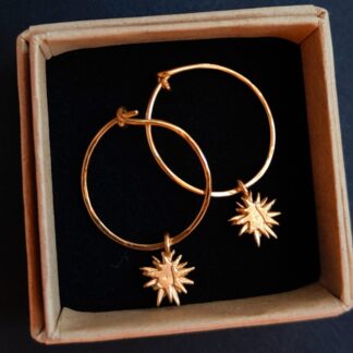 Gold Plated Sterling Silver Hoops and Star Earrings