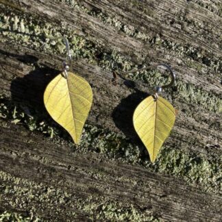 Silver Birch leaf silver earrings