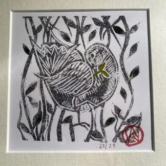 ‘Black Dove’