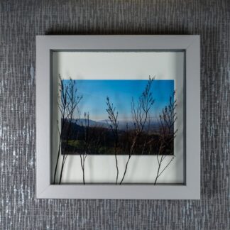 Painted Foliage Silhouettes at Birdlip Hill Gloucester casting shadows over framed photograph, artwork by Pictures2Mixtures