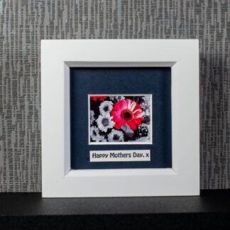 Colour Pop Pink Gerbera with black & white Chrysanthemums, framed photograph with optional message by Pictures2Mixtures