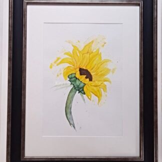 Sunburst Original Watercolour Sunflower Painting