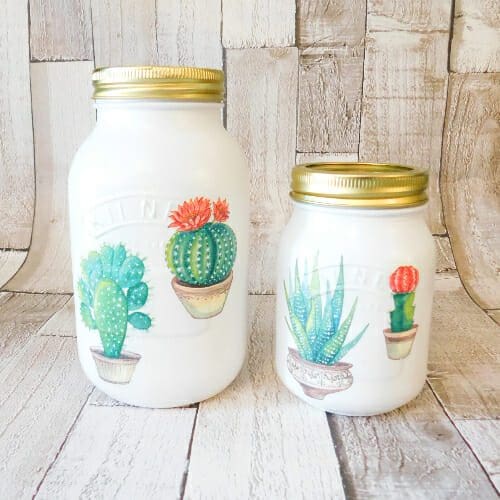 Cactus Cacti Succulent 1 Litre or 500 ml Kilner Storage Jar Vase - Image 2