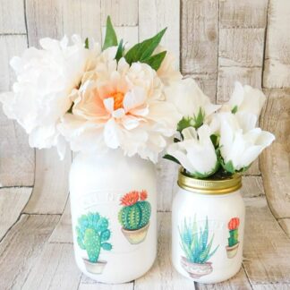 Cactus Cacti Succulent 1 Litre or 500 ml Kilner Storage Jar Vase