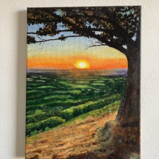 Tree with sunset over the hills