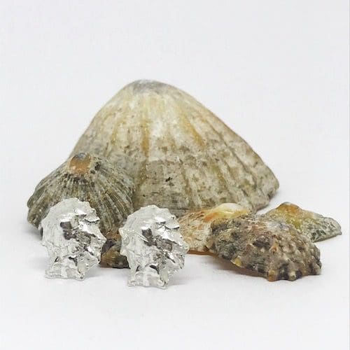Silver Limpet Shell Earrings - Image 2