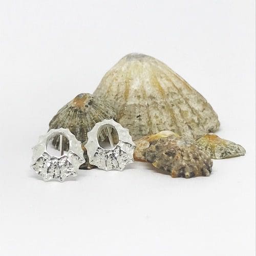Silver Limpet Shell Earrings - Image 3