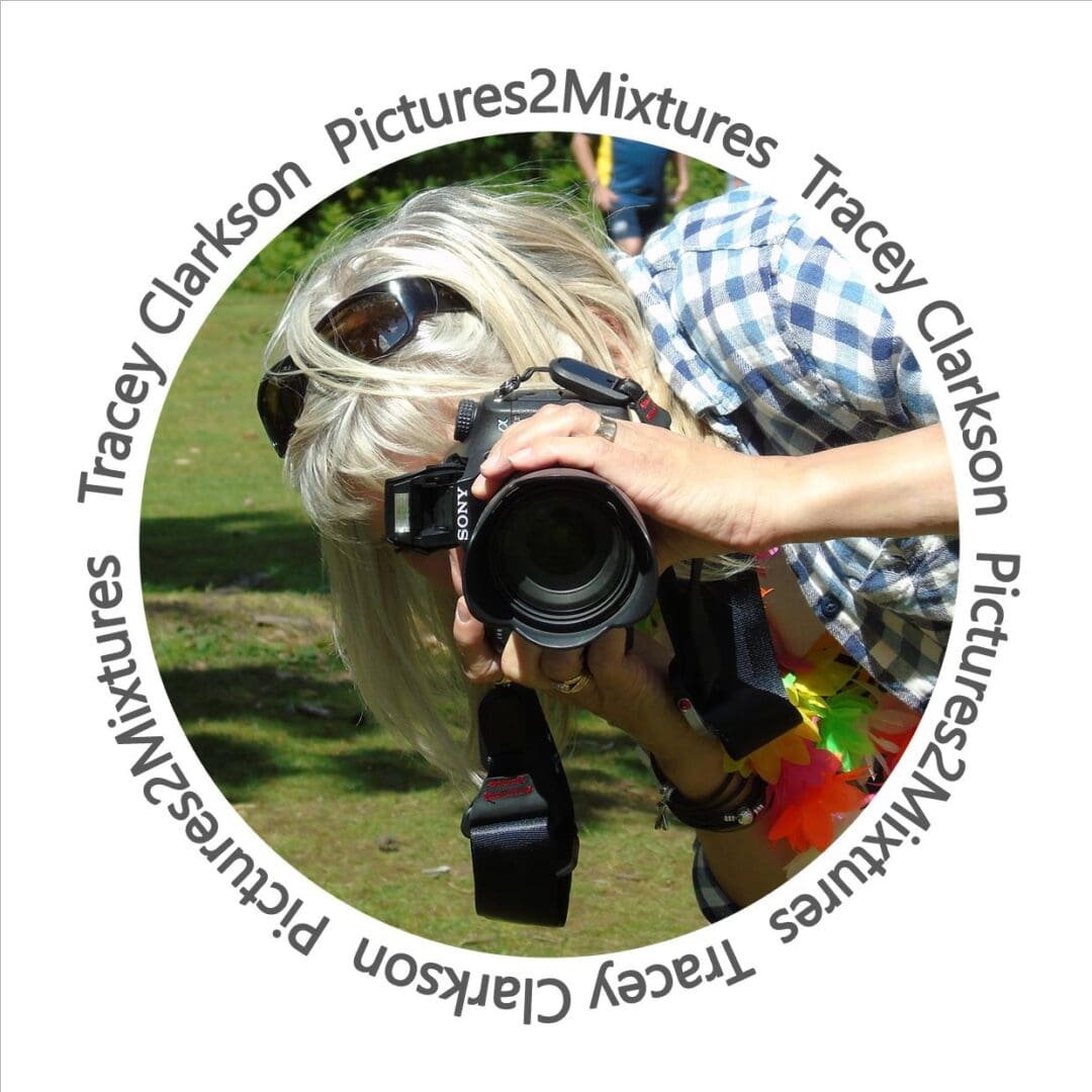 Pictures2Mixtures