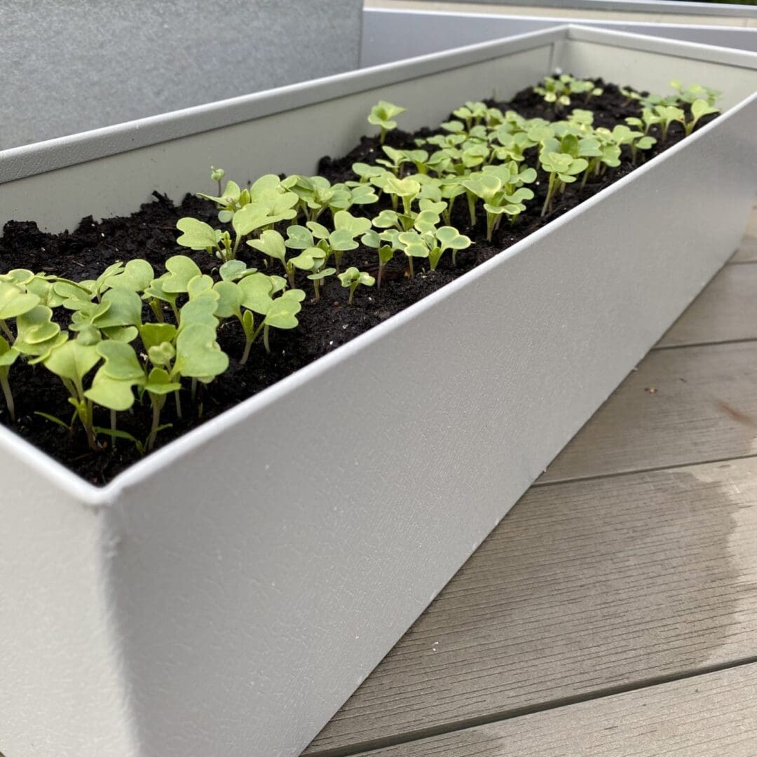 Handmade Goosewing Grey Metal Window Box Planter – Upcycled Steel Herb Planter for Windowsills, Balconies & Urban Gardens. Durable, Weather-Resistant & Eco-Friendly