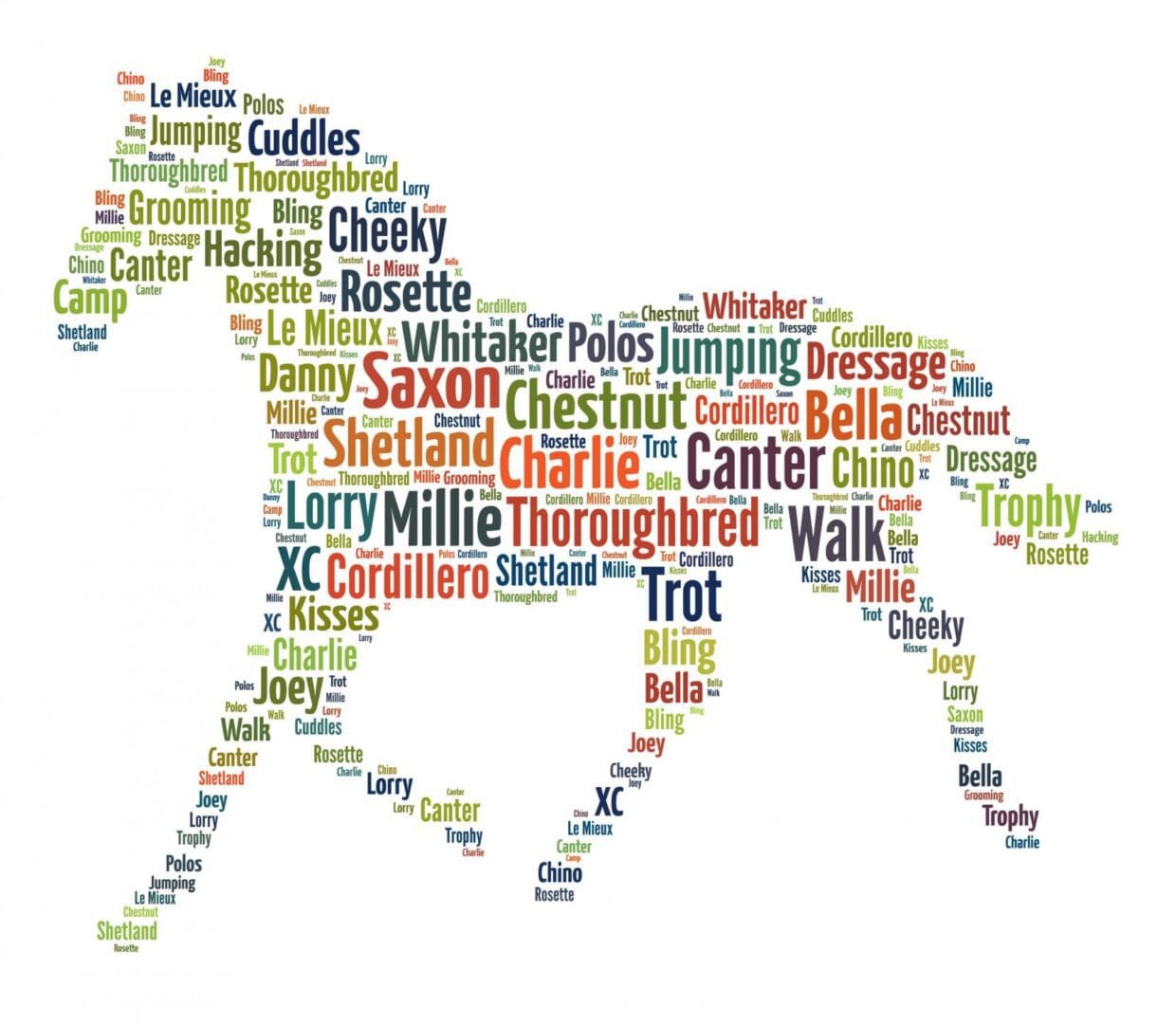 Personalised Horse Word Art Print - Image 6