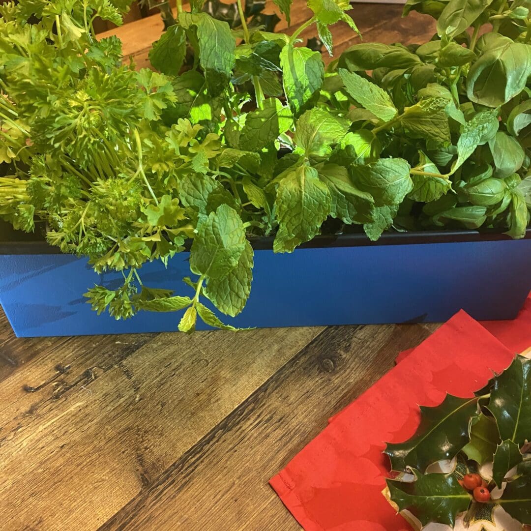 Metal Window cill planter for urban garden wall planter fence balcony planter windowsill plant pot garden trough contemporary modern bespoke custom planter handmade uk window boxes living windows city gardener
