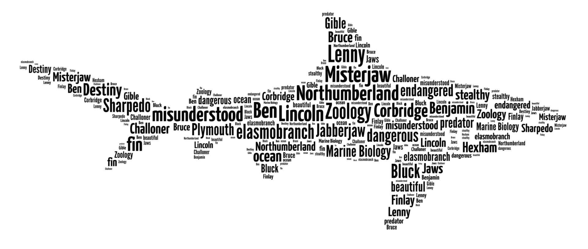 Personalised Shark Word Art Print - Image 3