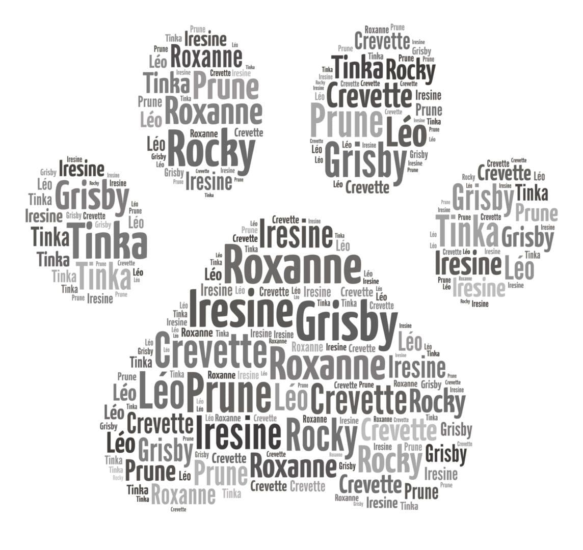 Personalised Dog Paw Word Art Print - Image 4