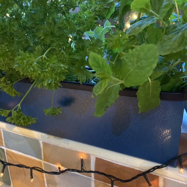 Metal Window cill planter for urban garden wall planter fence balcony planter windowsill plant pot garden trough contemporary modern bespoke custom planter handmade uk window boxes living windows city gardener