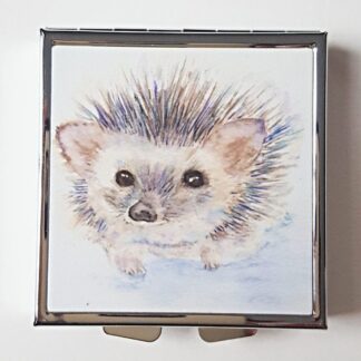 Pill Box with Hugo Hedgehog artwork