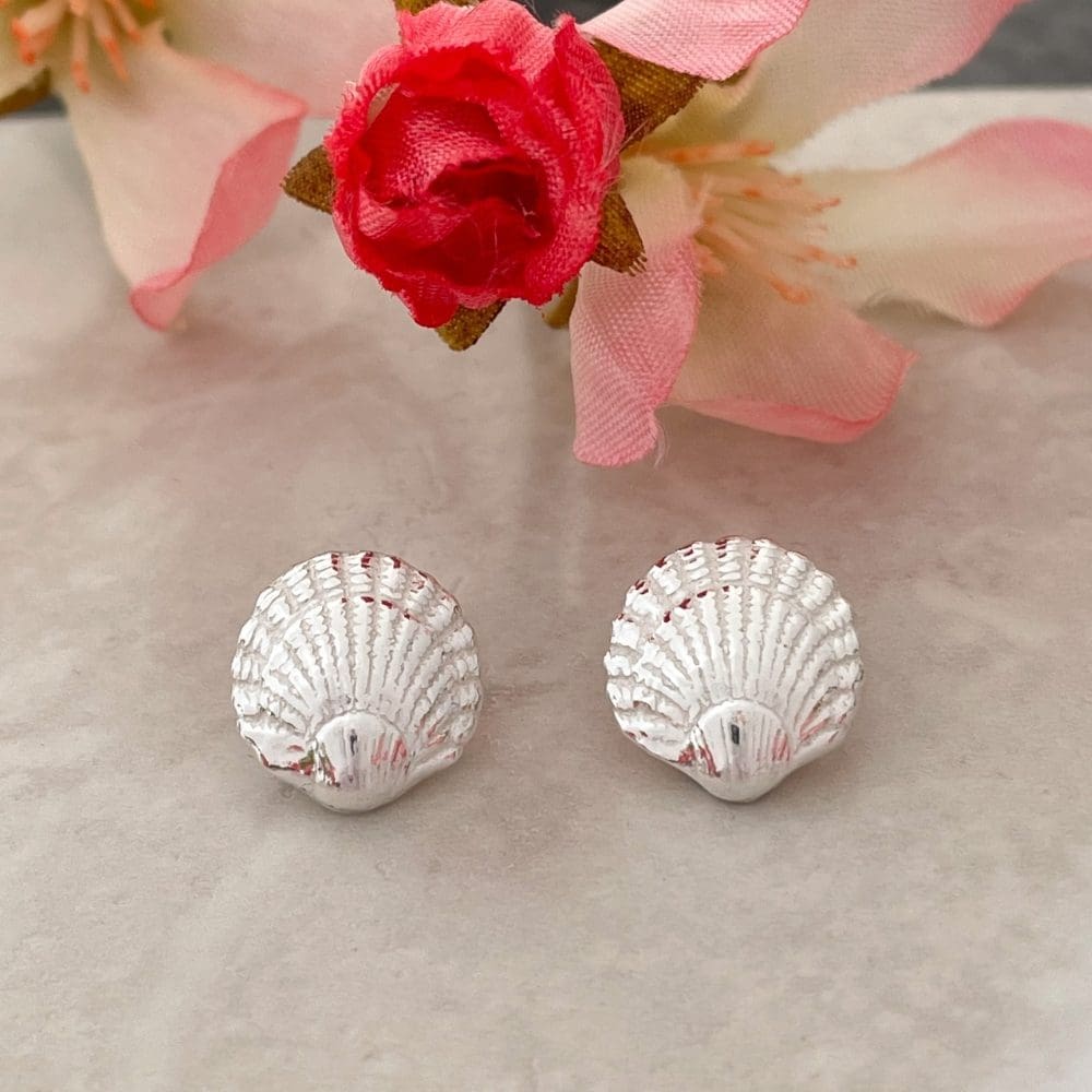 Shell earrings, silver cockle earrings