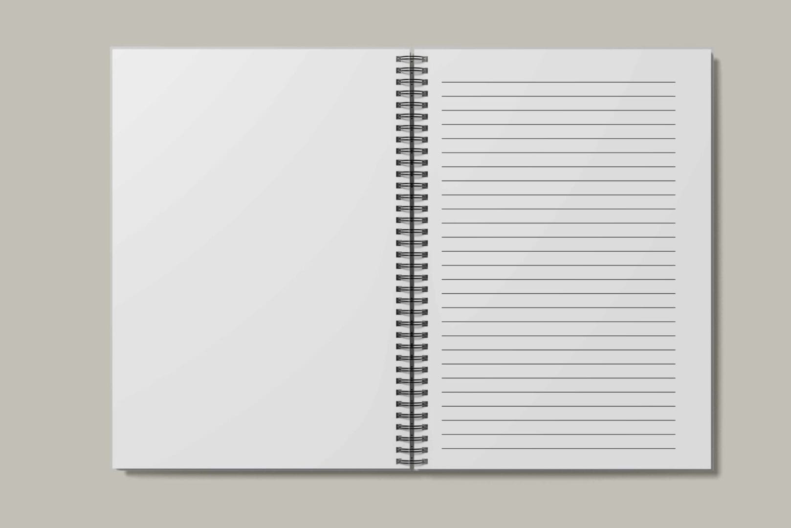 Open pages, one page lined, one blank