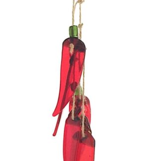 Fused glass Chilli Hanging/Chilli suncatcher/Red Chilli windchime/suncatcher/kitchen decor on a piece of Driftwood hand picked at the beach