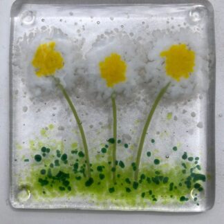 Handmade fused glass Daisy Coasters/white Flowers/Drink Coasters/Fused Glass Flower Coasters