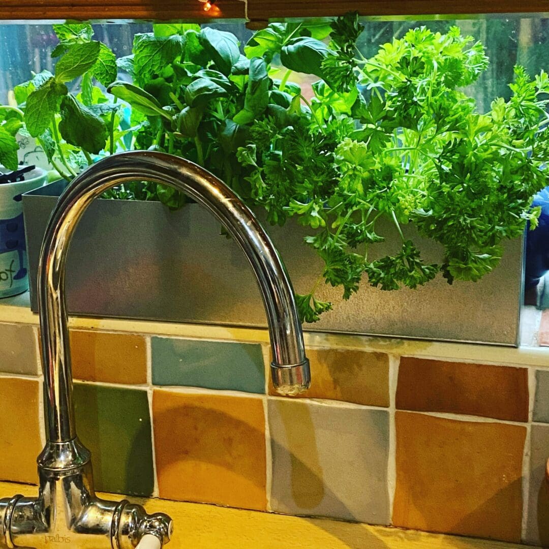 Kitchen Window Herb Planter Aluminium urban garden