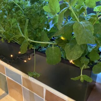Metal Window cill planter for urban garden wall planter fence balcony planter windowsill plant pot garden trough contemporary modern bespoke custom planter handmade uk window boxes living windows city gardener