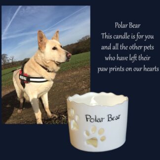 fine china tealight with paw print cutouts personalised with name