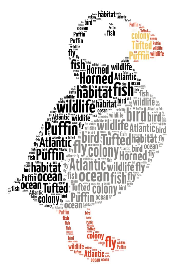 Personalised Puffin Word Art Print - Image 3