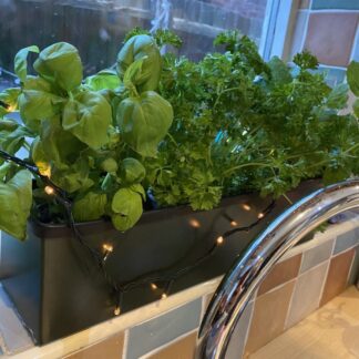 Metal Window cill planter for urban garden wall planter fence balcony planter windowsill plant pot garden trough contemporary modern bespoke custom planter handmade uk window boxes living windows city gardener
