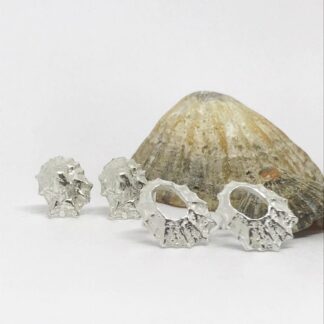 silver limpet shell earrings in front of a large limpet shell on a white background