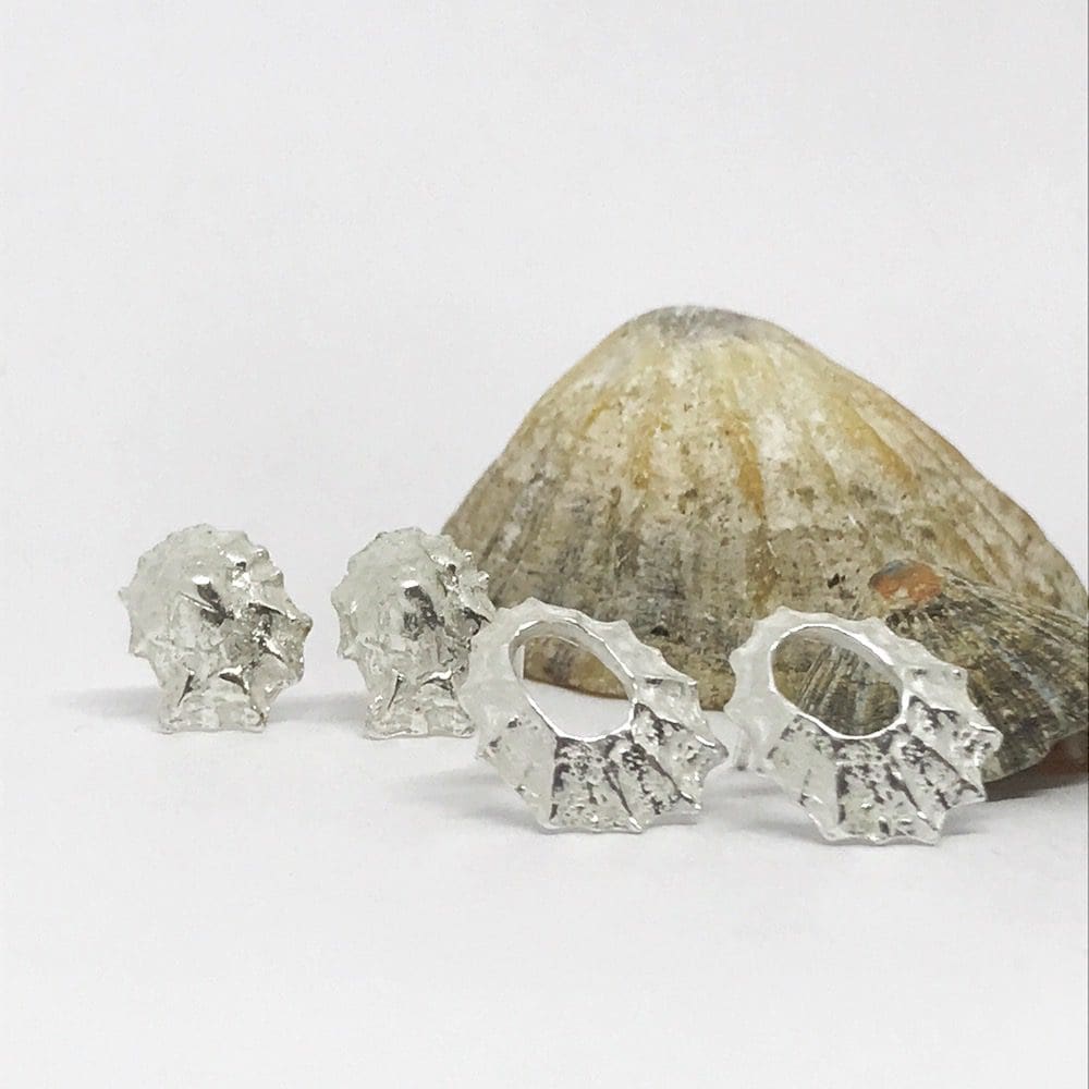 silver limpet shell earrings in front of a large limpet shell on a white background