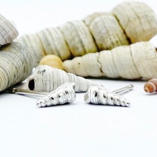 tiny silver auger shell earrings in front of larger real auger shells on a white background