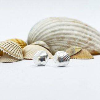 Silver Whelk Shell Earrings