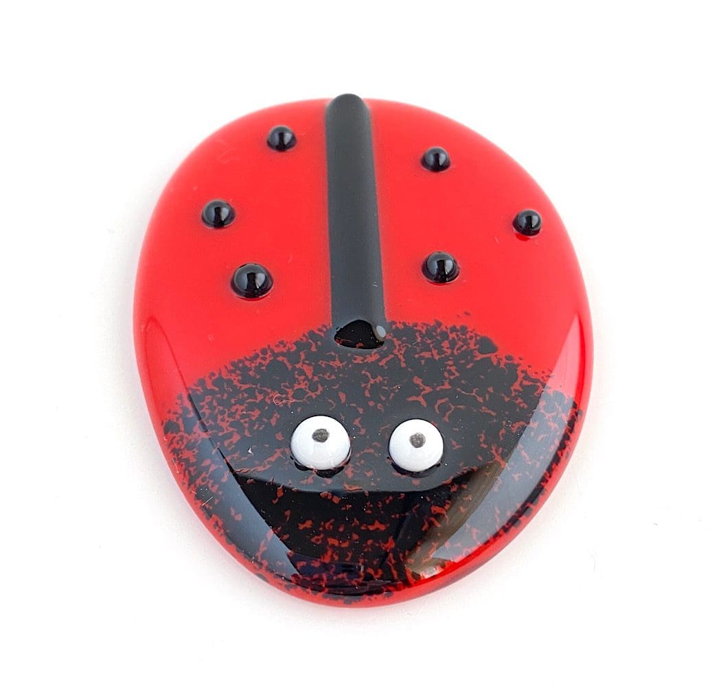 Ladybird Pocket Hug - Image 4