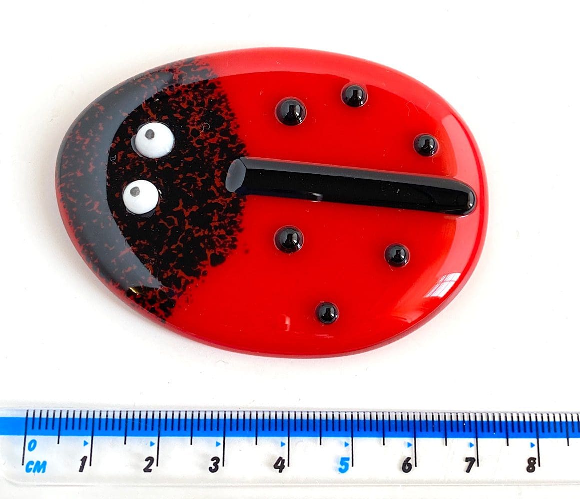 Ladybird Pocket Hug - Image 2