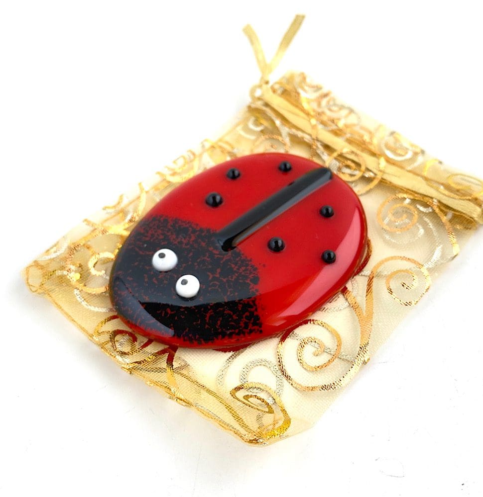 Ladybird Pocket Hug - Image 3