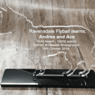 Personalised Engraved Border Collie Dog Trophy Award Corporate Staff Recognition Charity Sport