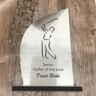 Personalised Engraved Trophy Award Corporate Staff Recognition Sport Charity