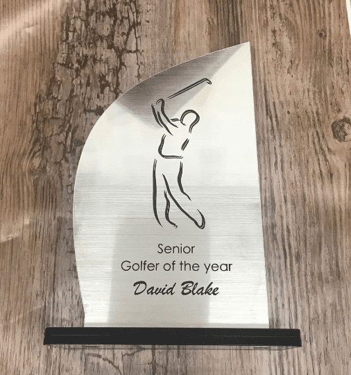 Personalised Engraved Trophy Award Corporate Staff Recognition Sport Charity