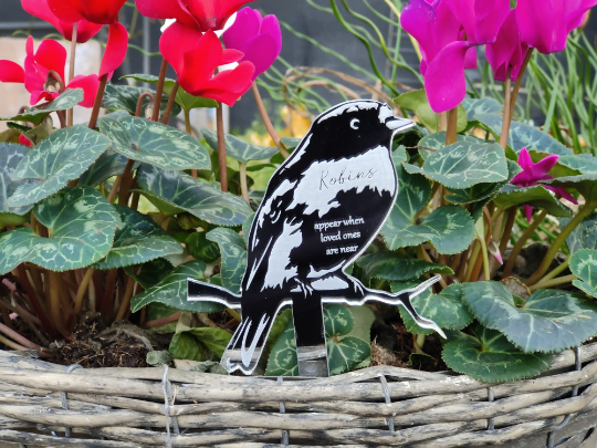 Robin plant flower pot planter stick memorial gift loss bereavement - mirror finish