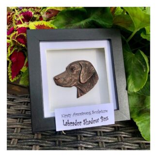 Framed Labrador Retriever head portrait in cold-cast metal by sculptor Kirsty Armstrong