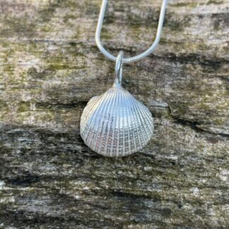 Chilli Designs Cockle Shell