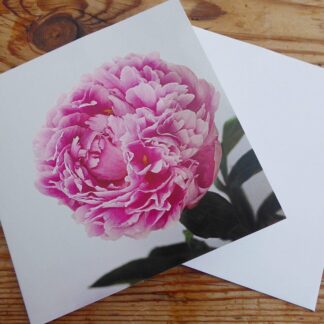 Pink Peony Blank Greetings Card