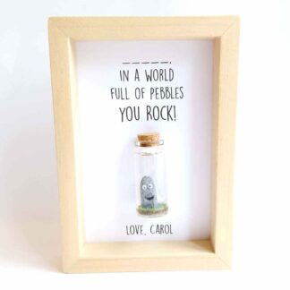 Polymer clay rock figure with googly eyes, enclosed in a miniature glass bottle and framed.