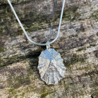 Chilli Designs limpet shell necklace
