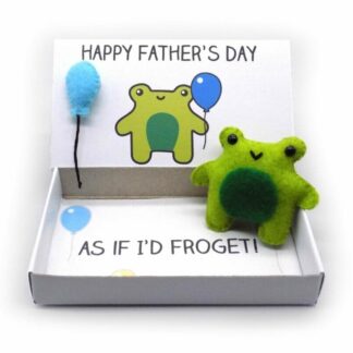 Quirky handmade Father's Day gift - frog magnet in a matchbox